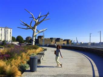 Brest - Silvertree
