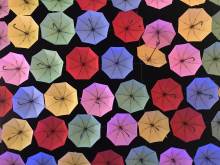 Jerusalem - Umbrellas