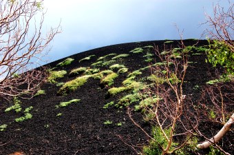 Mt.Etna / Volcanic scenery