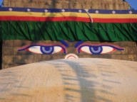 Buddha's watching you
