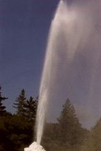 Lady Knox' Geyser